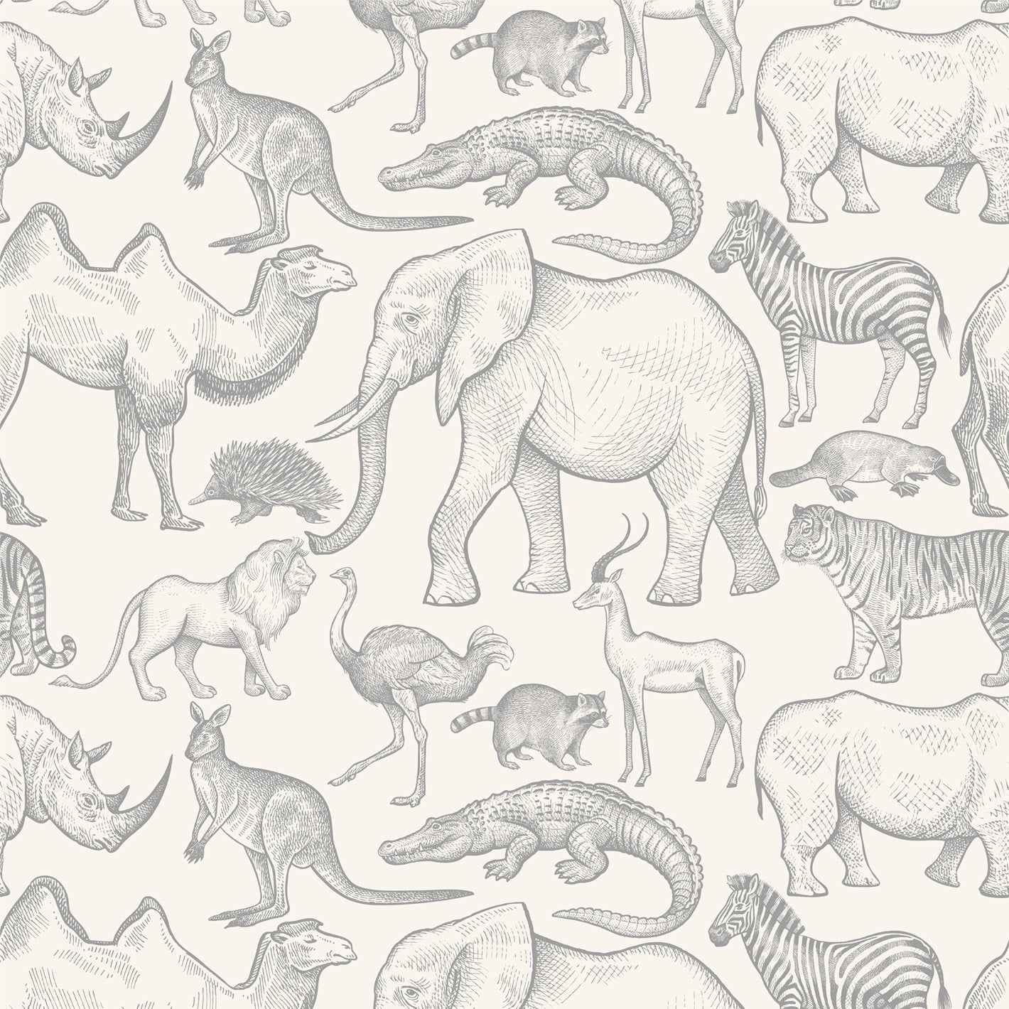 WALLPAPER BWINDI
