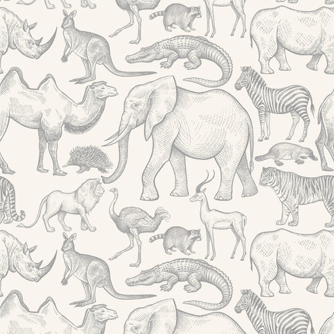WALLPAPER BWINDI