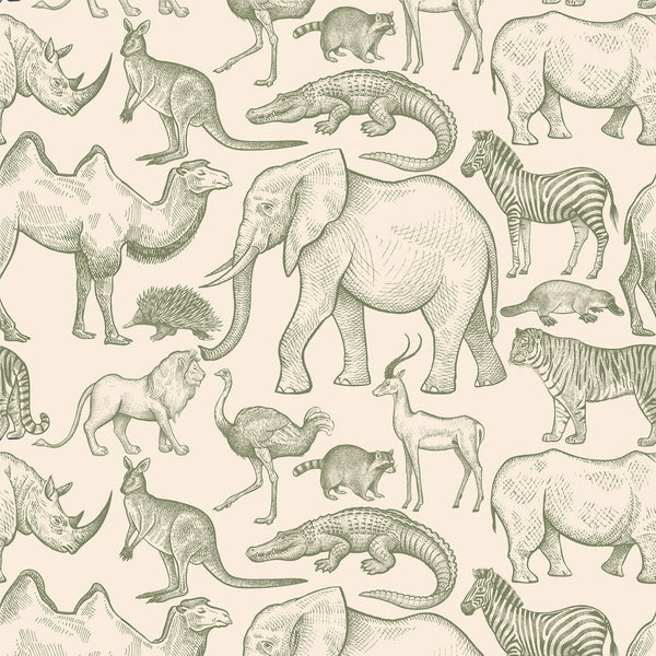 WALLPAPER BWINDI