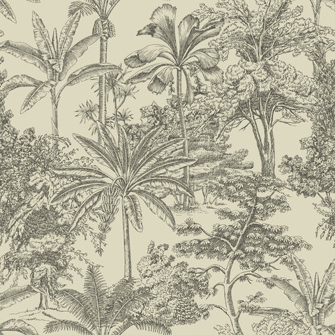 WALLPAPER ZAMIA