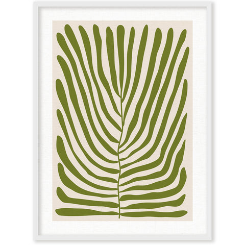 CUADRO CYATHEA