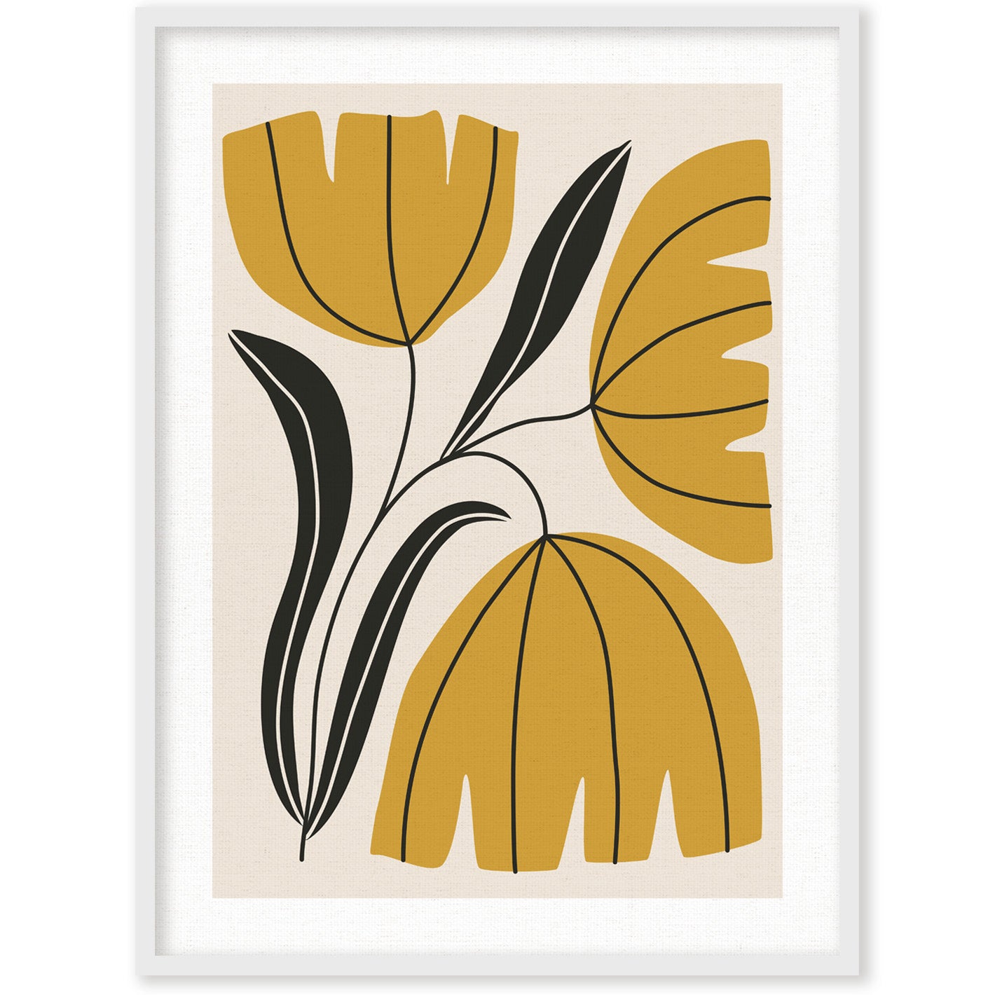 CUADRO BRASSIA
