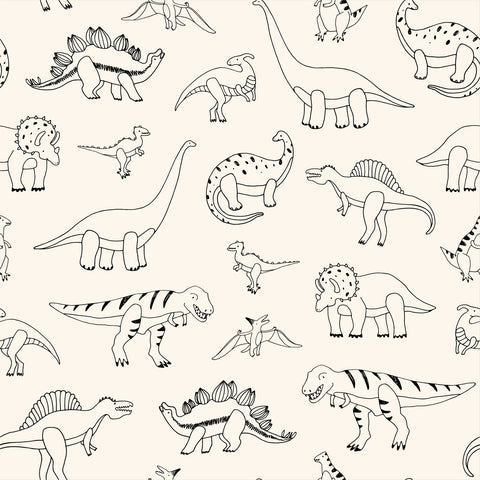 WALLPAPER PALEO