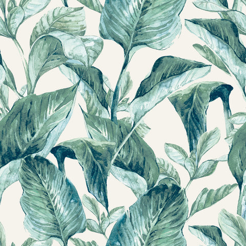 WALLPAPER MANGUARÉ